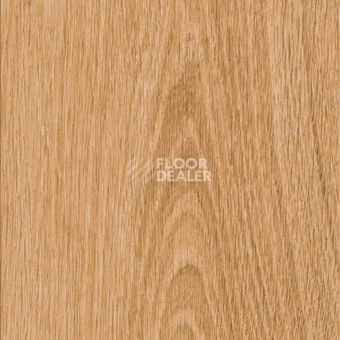 Кварцвиниловые полы AW Invictus Maximus Plank Highland Oak Classic фото 1 | FLOORDEALER